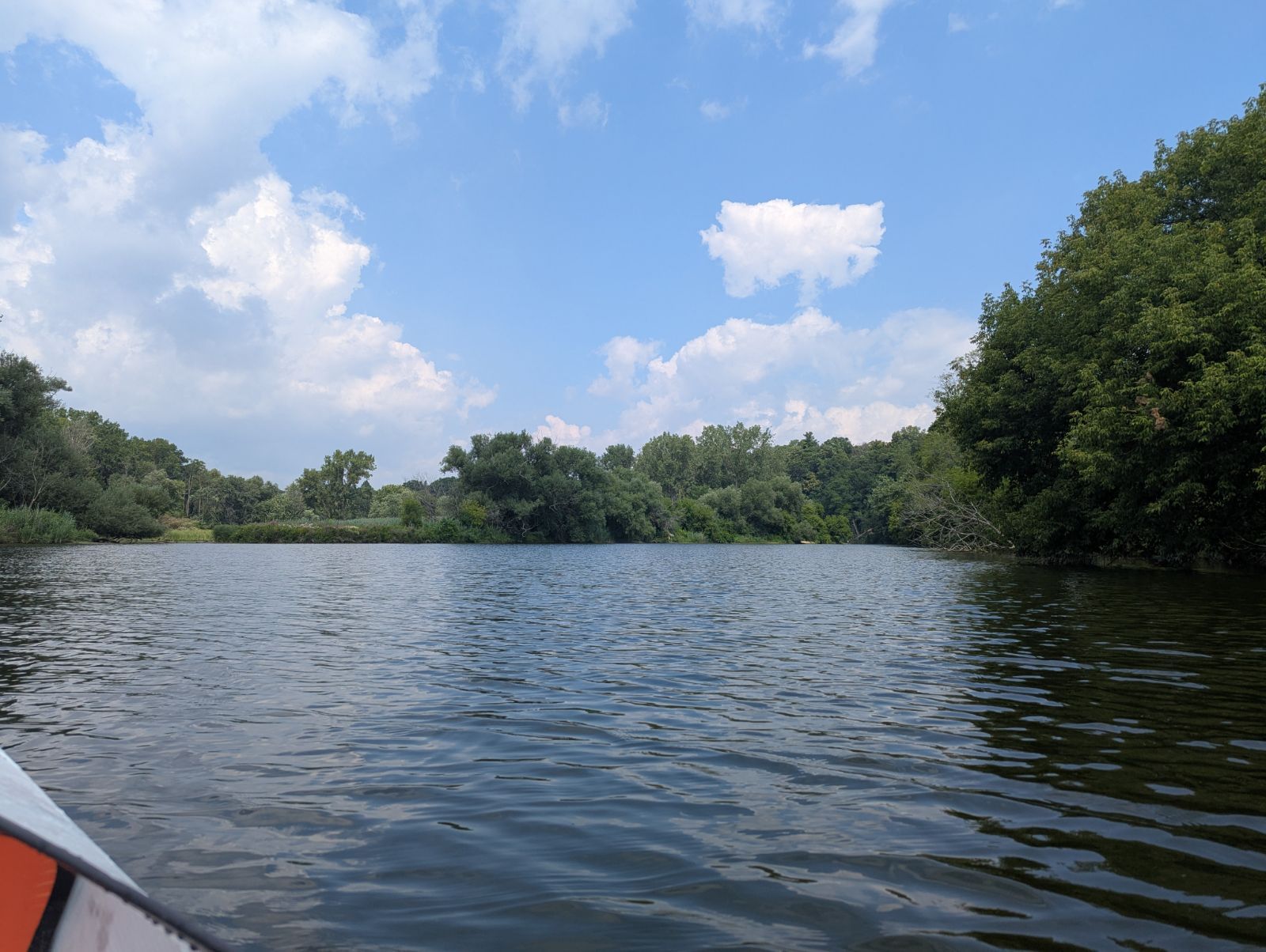 Deer On the Humber River