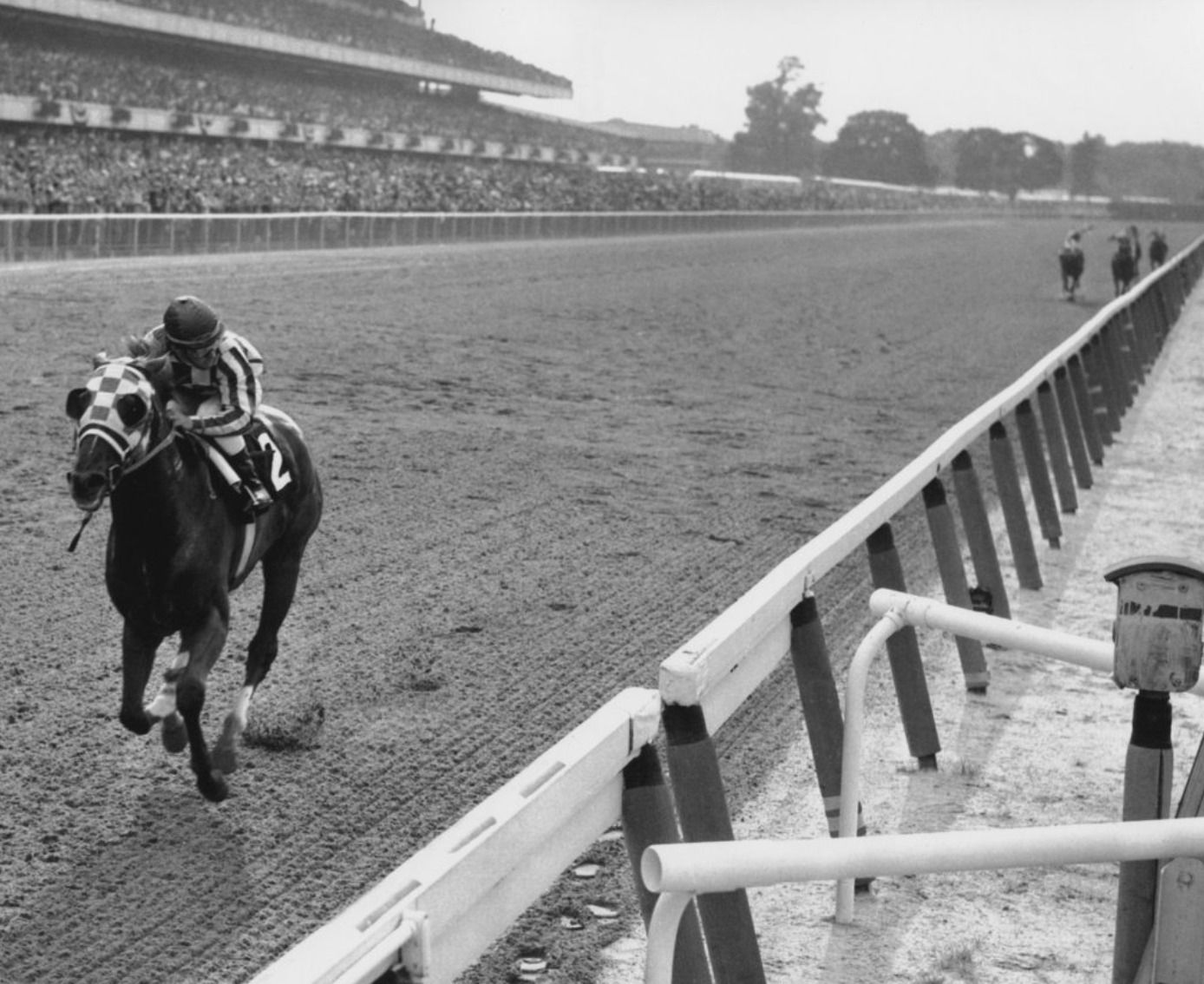 Ron Turcotte, Dead at 84