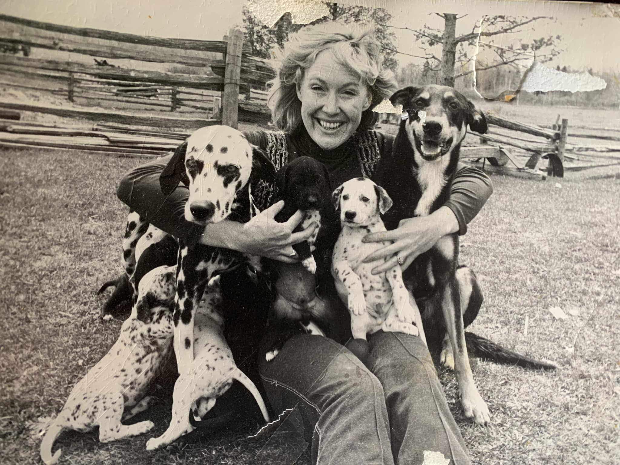 Dinah Christie, Dead at 83