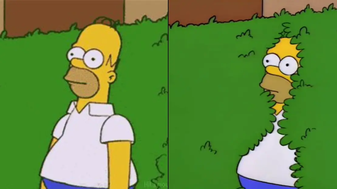 Do Kids Even Know What Homer Simpson Coming Out of Bush Parodies?